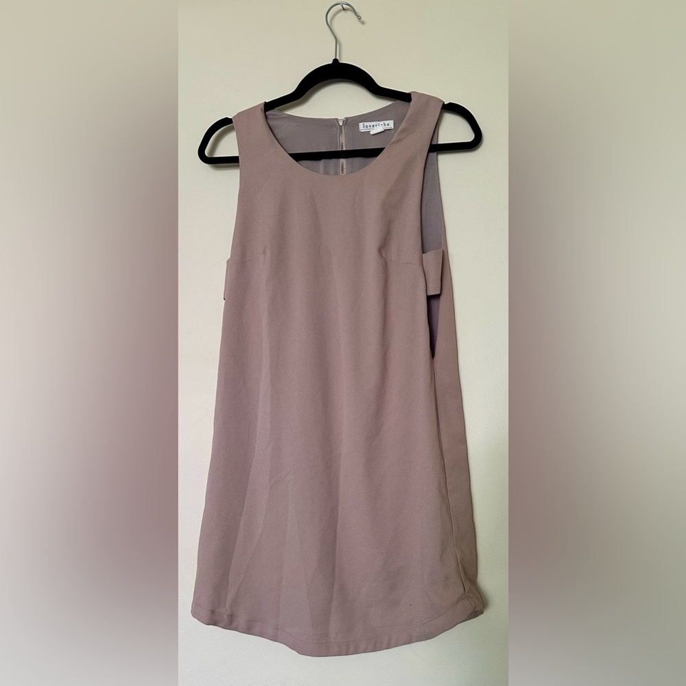 Love Riche Dusty Pink Mini Dress